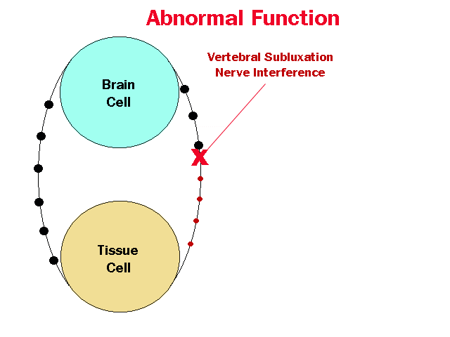 abnormal function - shea chiropractic