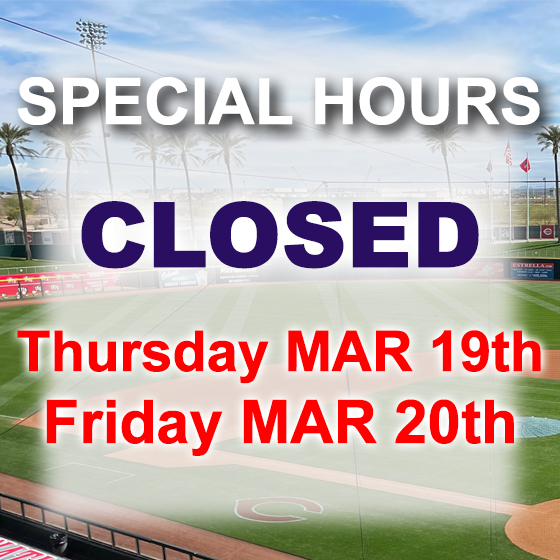 Goodyear Chiropractor 85028